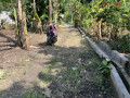 dijual-tanah-shm-tuban-small-0