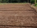 dijual-tanah-milik-pribadi-small-1