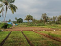 dijual-tanah-milik-pribadi-small-0