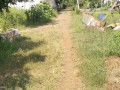 dijual-cepat-tanah-subur-di-tuban-small-2