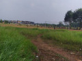 tanah-disewakan-murah-small-0