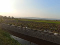 disewakan-sawah-small-2