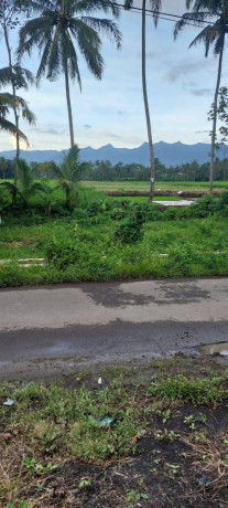 dijual-tanah-big-3