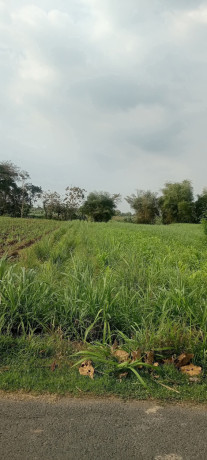 dijual-tanah-pertanian-big-0