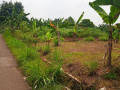 jual-tanah-bogor-small-3