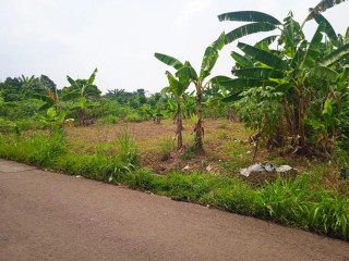Jual tanah bogor