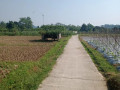 dijual-tanah-kebun-manggis-produktif-purwakarta-small-1