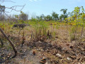 dijual-digadaikan-tanah-tegalan-small-2