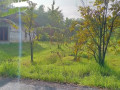 dijual-tanah-strategis-di-bojonegoro-small-1