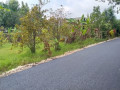 dijual-tanah-strategis-di-bojonegoro-small-0