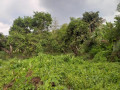 dijual-tanah-pekarangan-strategis-di-kota-jombang-small-0