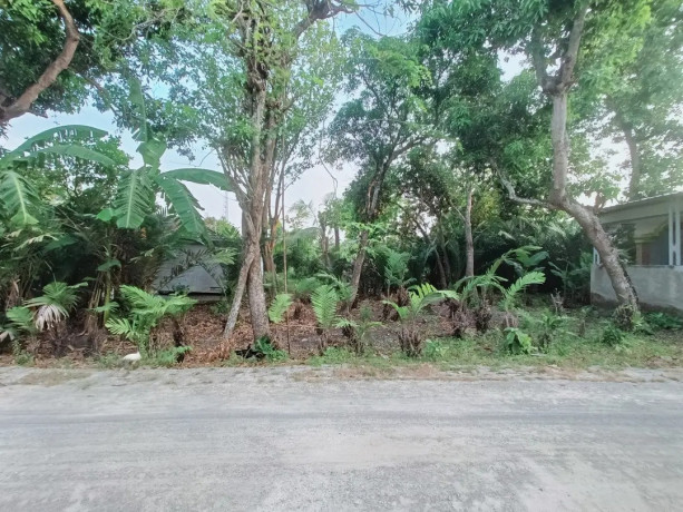 dijual-cepat-tanah-big-0