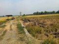 dijual-tanah-pertanian-produktif-small-1