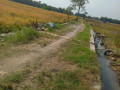 dijual-tanah-pertanian-produktif-small-2