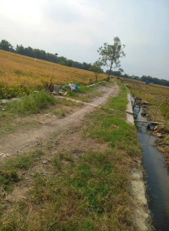 dijual-tanah-pertanian-produktif-big-2