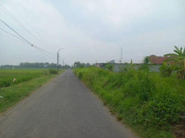 dijual-tanah-sawah-strategis-jombang-big-2