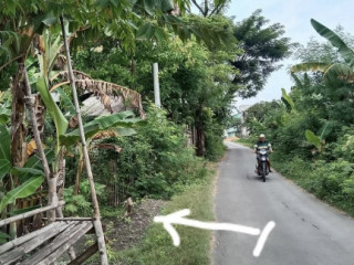 Dijual Tanah Strategis Soko Tuban